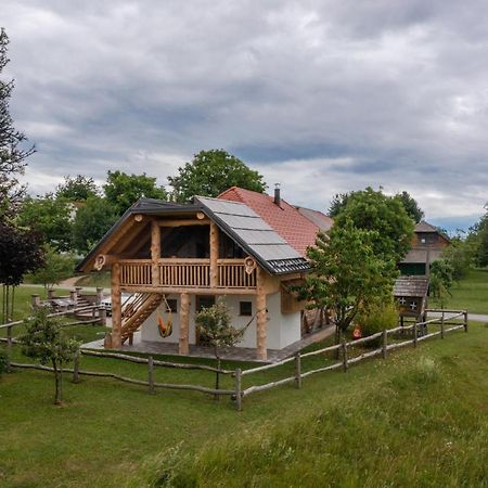 Holiday Home Virida, App Leopold III Ivancna Gorica Extérieur photo