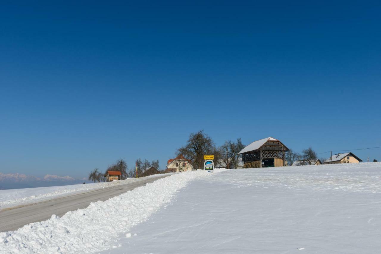 Holiday Home Virida, App Leopold III Ivancna Gorica Extérieur photo