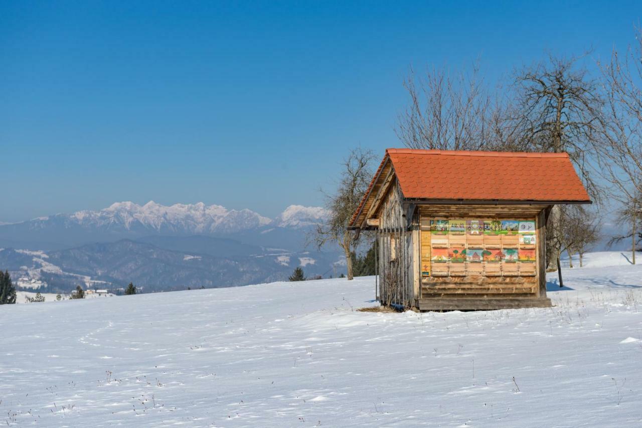 Holiday Home Virida, App Leopold III Ivancna Gorica Extérieur photo